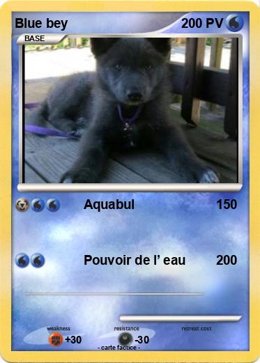 Pokemon Blue bey