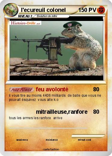Pokemon l'ecureuil colonel