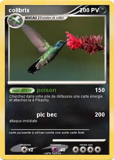 Pokemon colibrix