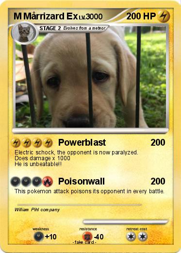 Pokemon M Mårrizard Ex