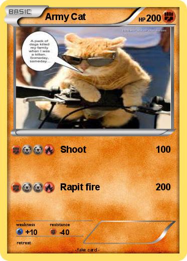 Pokemon Army Cat