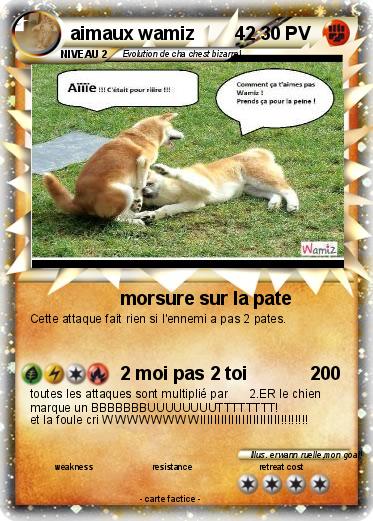 Pokemon aimaux wamiz        42