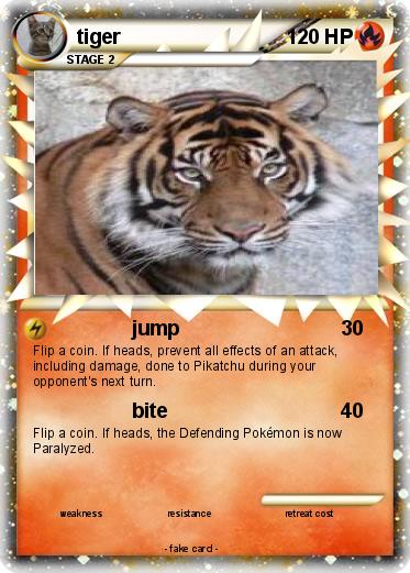Pokemon tiger
