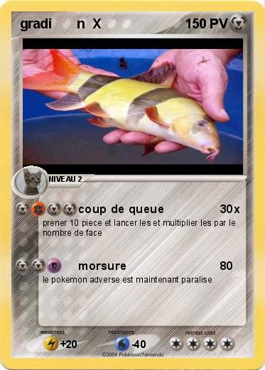 Pokemon gradi       n  X