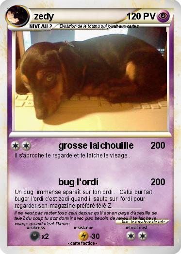 Pokemon zedy