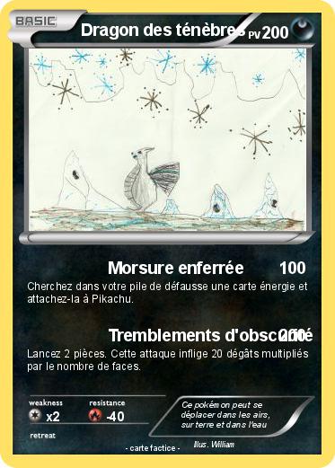 Pokemon Dragon des ténèbres