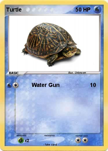Pokemon Turtle