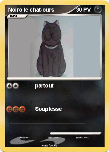 Pokemon Noiro le chat-ours