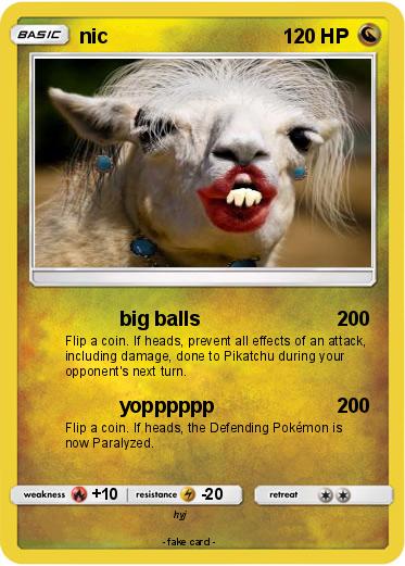 Pokemon nic