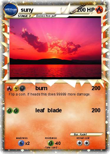 Pokemon suny