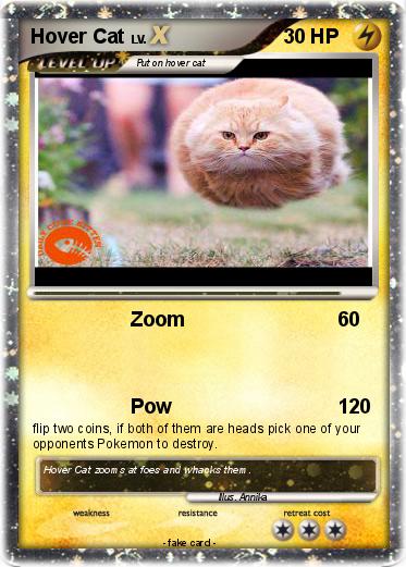 Pokemon Hover Cat