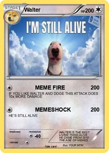Pokemon Walter