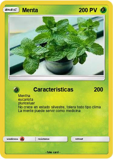Pokemon Menta