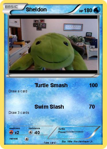 Pokemon Sheldon