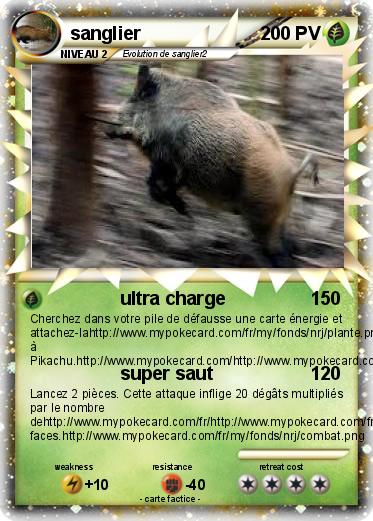 Pokemon sanglier