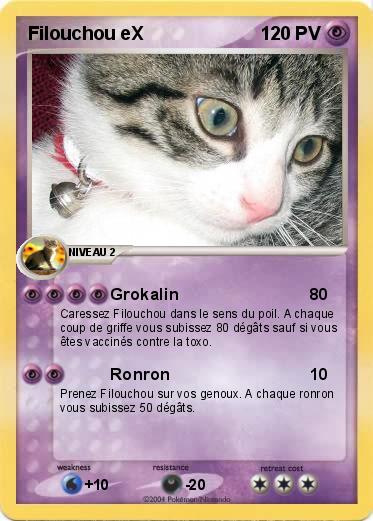 Pokemon Filouchou eX