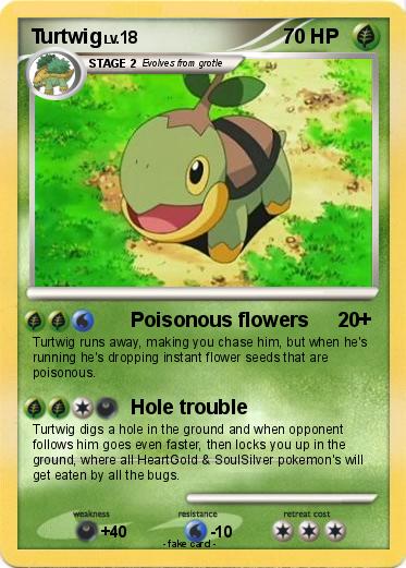 Pokemon Turtwig