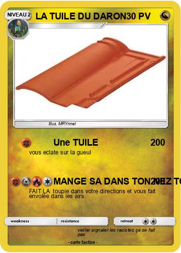 Pokemon LA TUILE DU DARON