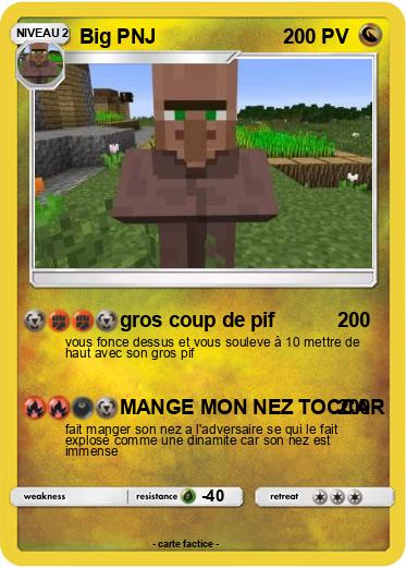 Pokemon Big PNJ