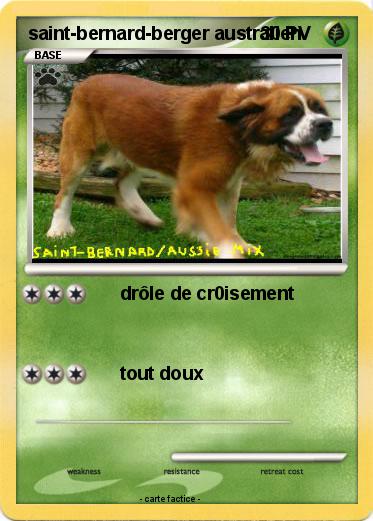 Pokemon saint-bernard-berger australien