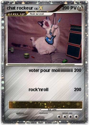 Pokemon chat rockeur