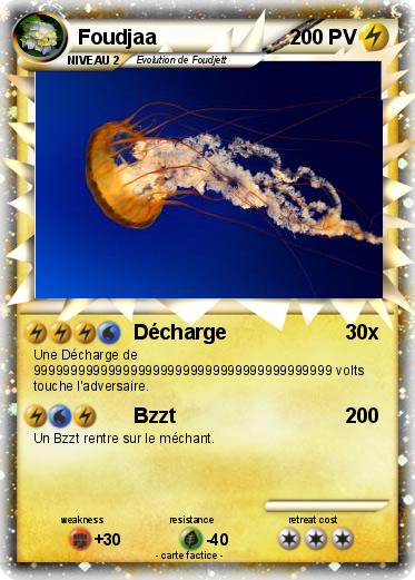 Pokemon Foudjaa
