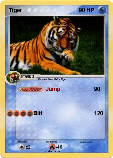 Pokemon Tiger