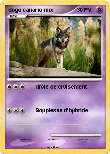 Pokemon dogo canario mix