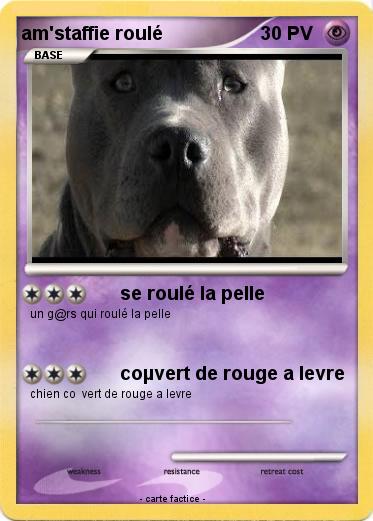 Pokemon am'staffie roulé