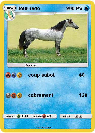 Pokemon tournado