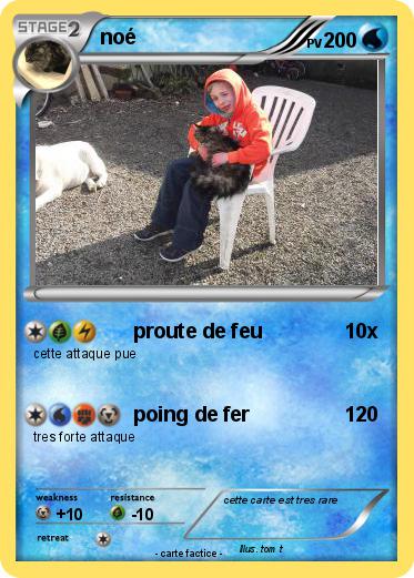 Pokemon noé