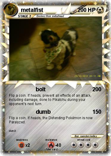 Pokemon metalfist