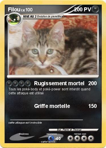 Pokemon Filou