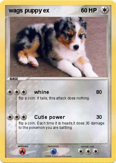 Pokemon wags puppy ex