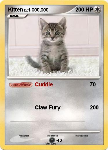 Pokemon Kitten