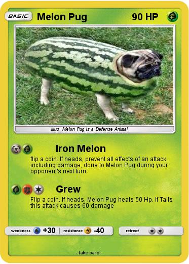 Pokemon Melon Pug