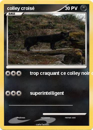 Pokemon colley croisé