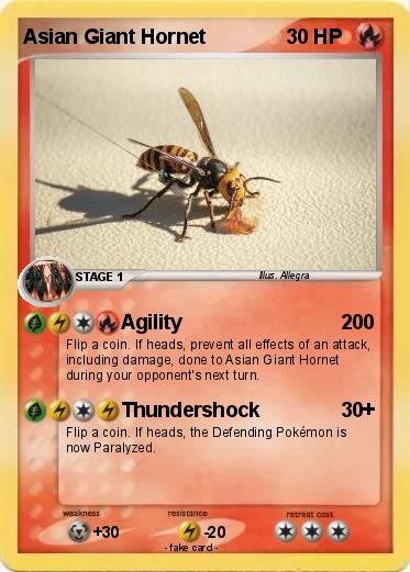 Pokemon Asian Giant Hornet