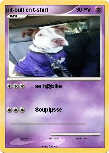 Pokemon pit-bull en t-shirt