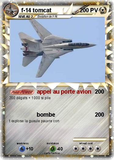 Pokemon f-14 tomcat