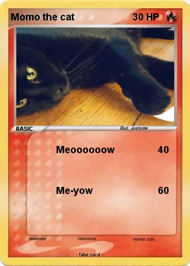 Pokemon Momo the cat