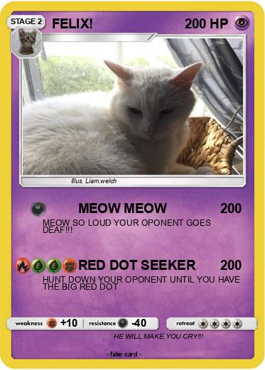 Pokemon FELIX!