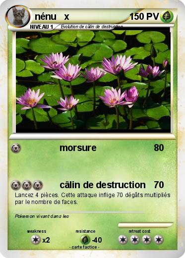 Pokemon nénu   x