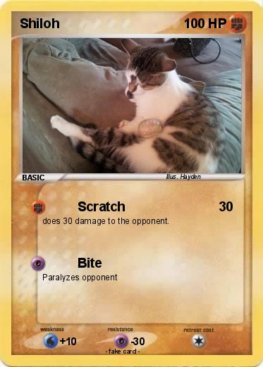 Pokemon Shiloh