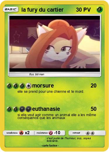 Pokemon la fury du cartier