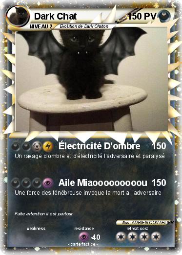 Pokemon Dark Chat