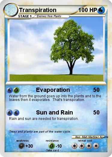 Pokemon Transpiration