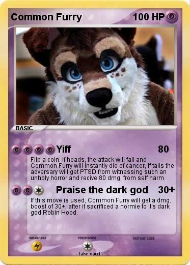 Pokemon Common Furry