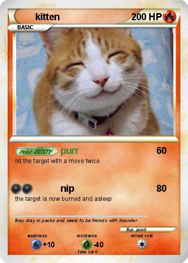 Pokemon kitten