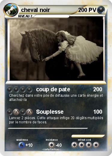 Pokemon cheval noir